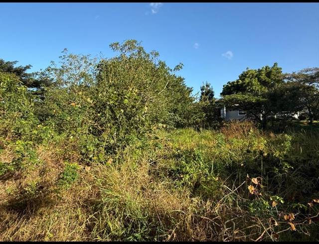 LAND FOR SALE IN ZINI RIVER ESTATE
